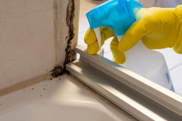 Best Mold Removal Specialists  in Baldwin, GA