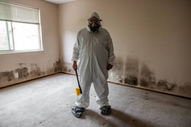 Best Black Mold Removal  in Baldwin, GA