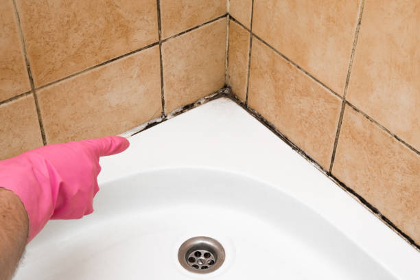 Best Professional Mold Removal  in Baldwin, GA